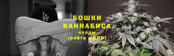 эйфоретик Арсеньев