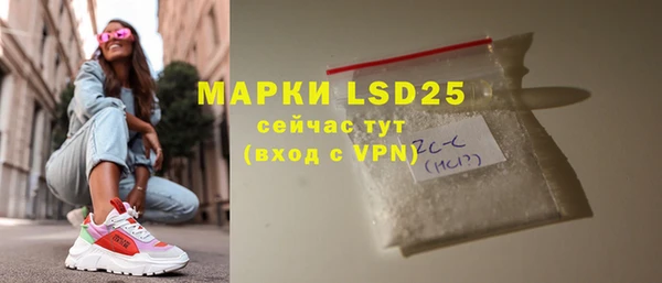 хмурый Гусь-Хрустальный